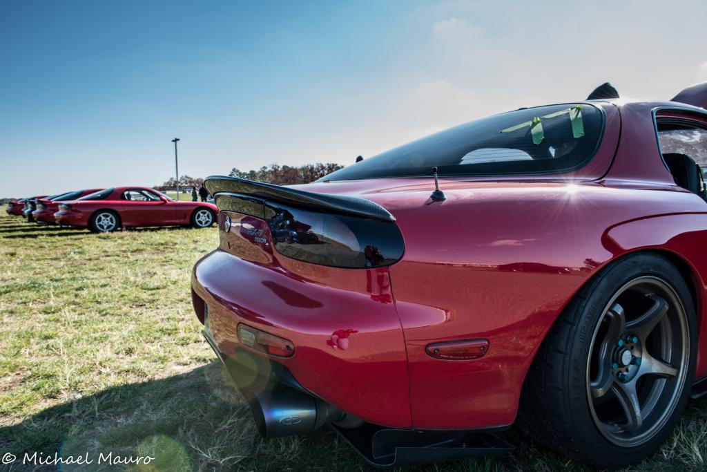 Name:  _DSC4083.jpg
Views: 29
Size:  88.6 KB