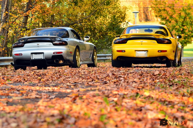 Name: DSC_2870_BNAD_zps36d49237.jpg
Views: 42
Size: 154.6 KB