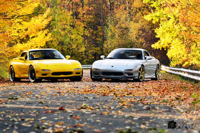 Name: DSC_2849_BNAD_zps94d6a9c4.jpg
Views: 33
Size: 175.3 KB