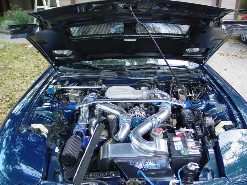 Name: Toms95MBMonster035.jpg
Views: 629
Size: 157.3 KB