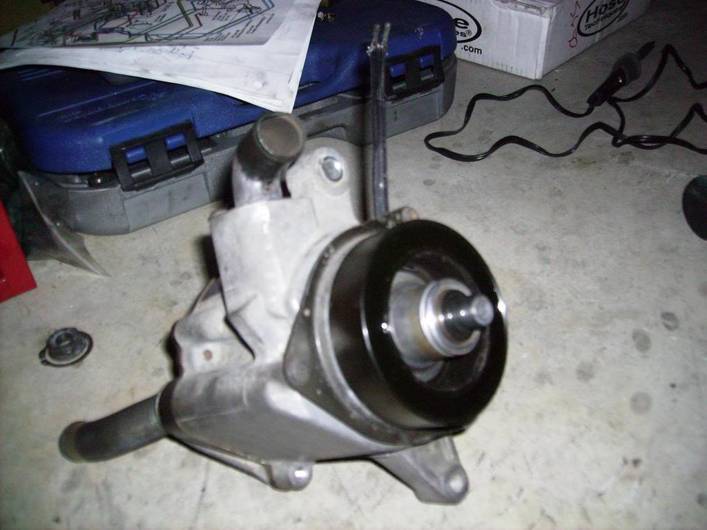 Name:  SANY0395.jpg
Views: 578
Size:  100.2 KB