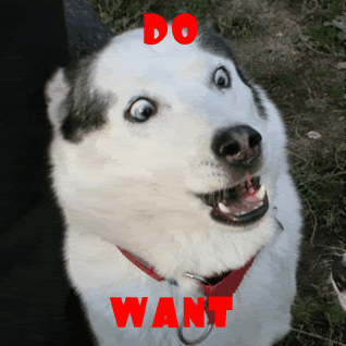 Name:  1242988717039-1.gif
Views: 2483
Size:  62.3 KB