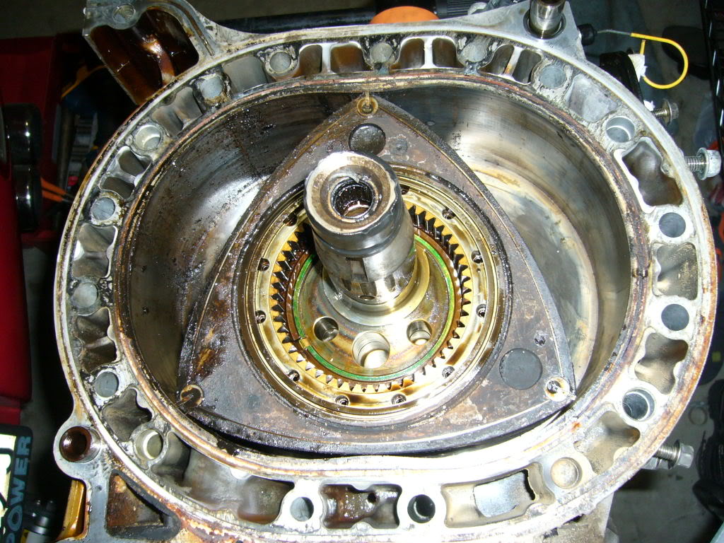 Name:  P1020217.jpg
Views: 1420
Size:  195.1 KB