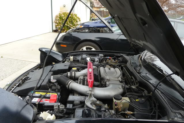 Name:  P1070684.jpg
Views: 786
Size:  100.2 KB