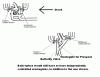 Convert stock twins to ball bearings????-turbodesign2.gif