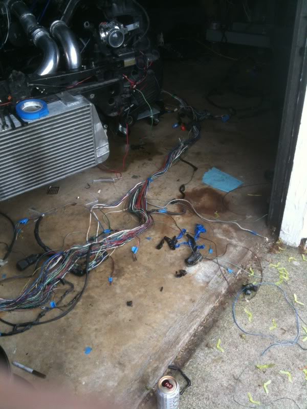 Name: IMG_1114.jpg
Views: 695
Size: 89.9 KB