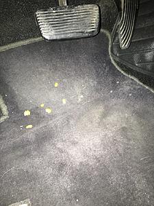 Okay, WTF?  Ghost in the machine?  Brake lights just turned themselves on-fd-switch-043x.jpg