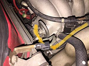 Disconnected Hose...please help identify. ..-3cd1c501-be96-4408-bac3-90a96a618e4d.jpeg