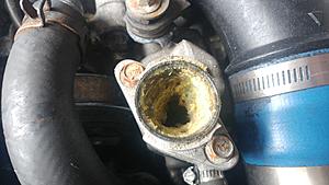 Fd revival project- coolant-20180416_102053.jpg