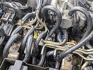 Help figuring out my rat's nest-talq6nc.jpg