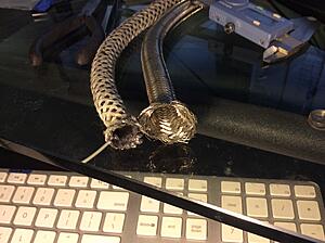 Fuel lines failing because of ethanol blend fuel?-0jxcrym.jpg