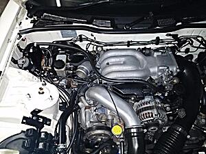 Which hose comes from the oil filler neck?-etwh6nq.jpg