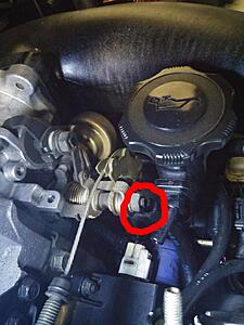 Which hose comes from the oil filler neck?-48jdvqm.jpg