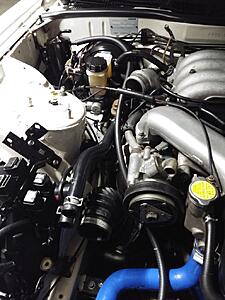 Which hose comes from the oil filler neck?-s81xx9e.jpg