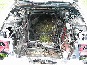 Just purchased 3rd gen roller, need to source motor-9qckcdf.jpg