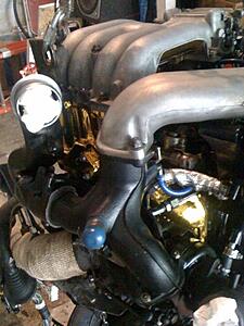 save the whales... save your MOTOR chapter two-z3oz3l.jpg