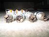 Check these plugs out....not what expect.-picture-014.jpg