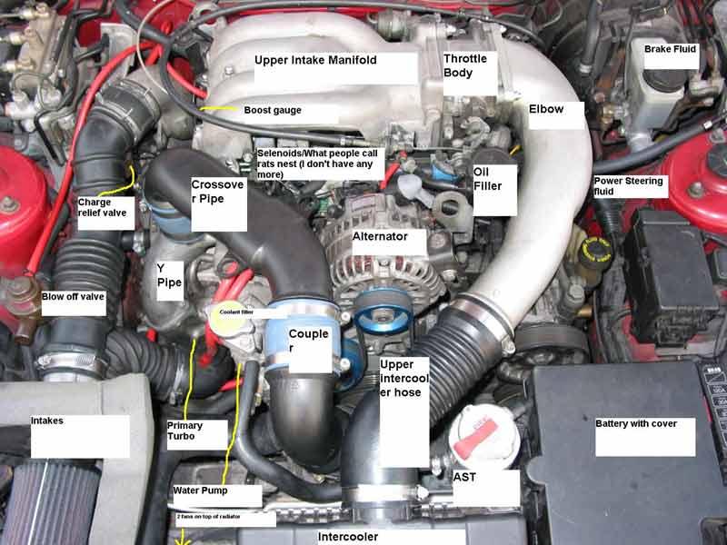 Anyone have a pic of the engine bay showing what is what - RX7Club.com