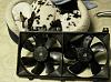 99 Fans p/n?-p1000658.jpg
