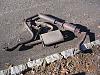 My new FD Turbo-back exhaust-new-fd-exhaust.jpg