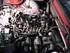 Rats Nest-dsc01567.jpg