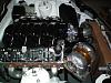 94 white fd  ls1 t-76 cobra 8.8-596.jpg