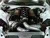 94 white fd  ls1 t-76 cobra 8.8-69148_856739709824_23324293_45618199_4799113_n.jpg