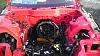 REDBULLSTX life, death, and rebirth....-imag2521.jpg