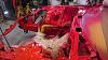 REDBULLSTX life, death, and rebirth....-imag3112.jpg