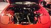 REDBULLSTX life, death, and rebirth....-imag3252.jpg
