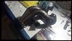 DECADE build and my RX-7 ownership diary!!!!!!!-img_20130927_241425_405_2448x1380.jpg