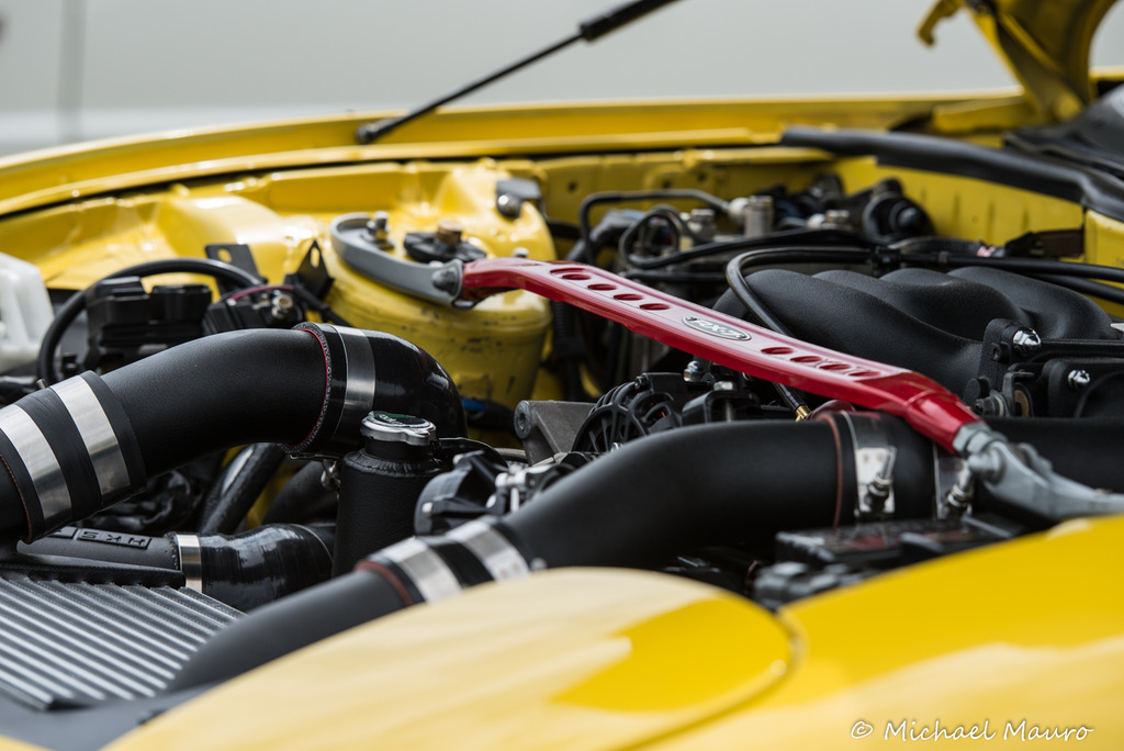 Name: DSC_8502.jpg
Views: 976
Size: 224.0 KB