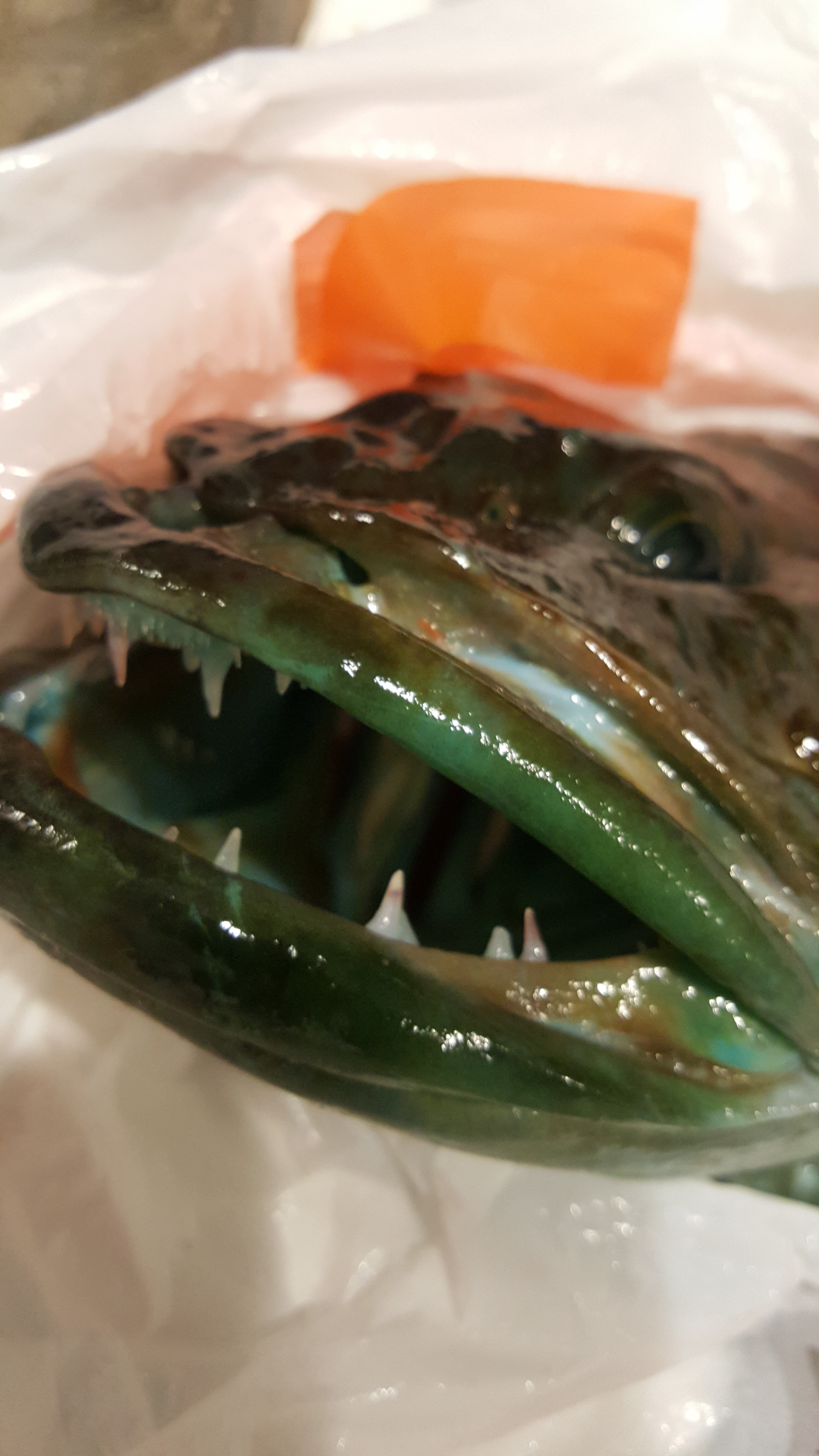 Name:  20161205_174508_zpsqctkpmd4.jpg
Views: 373
Size:  2.75 MB