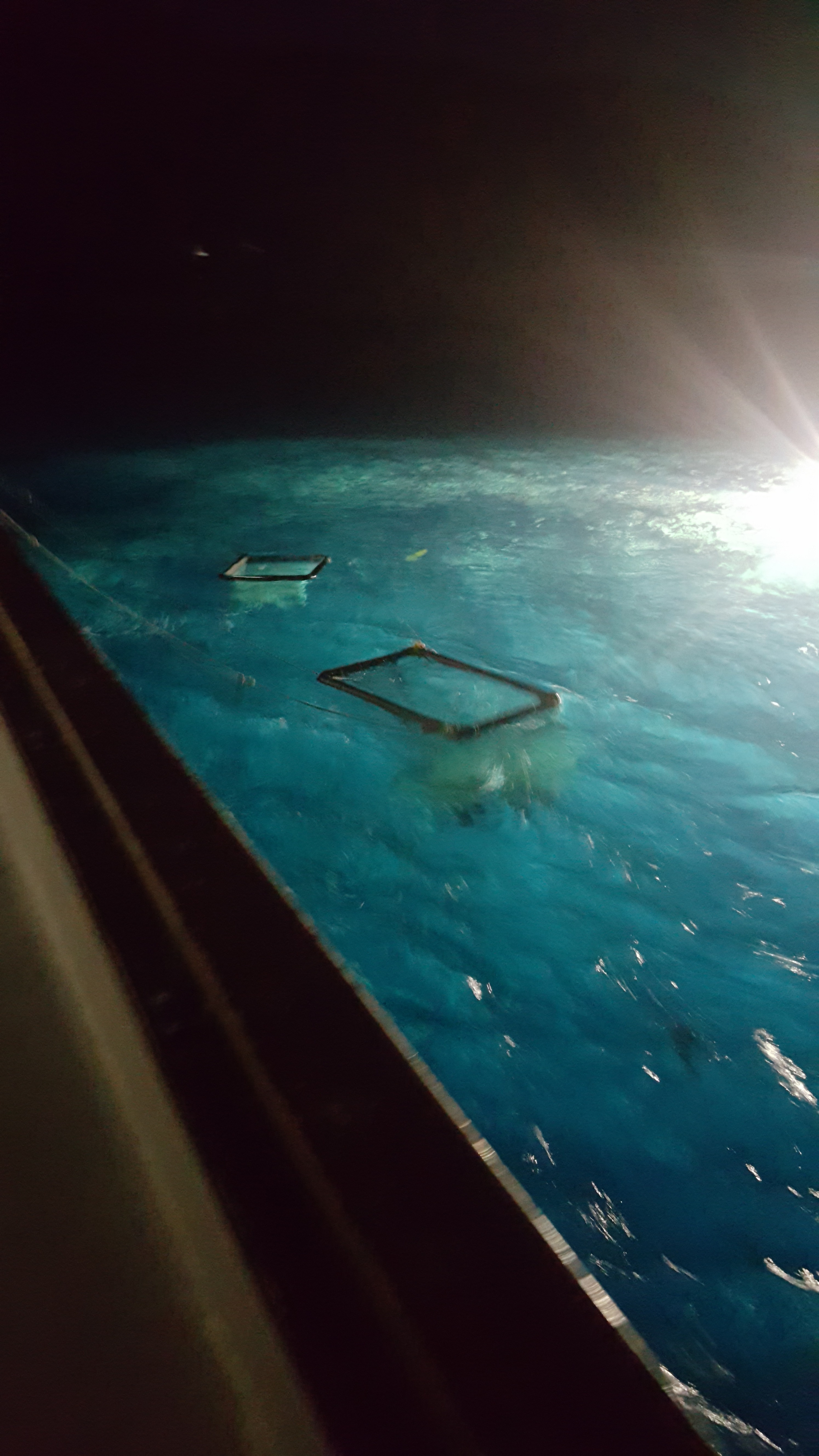 Name:  20161113_233158_zpsgqqfxmrb.jpg
Views: 314
Size:  2.48 MB