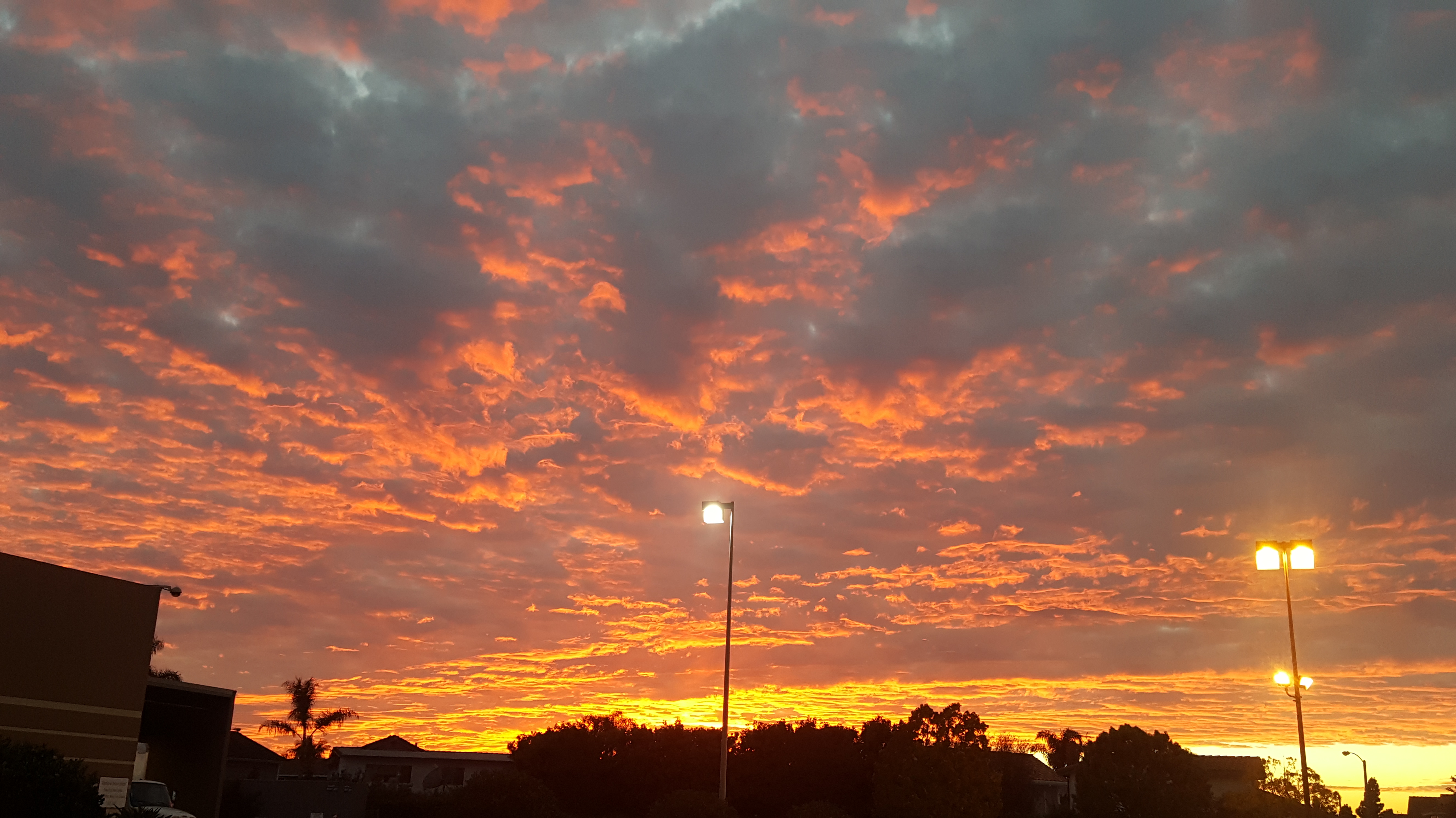 Name:  20161119_165645_zps8ocqzocm.jpg
Views: 310
Size:  2.79 MB