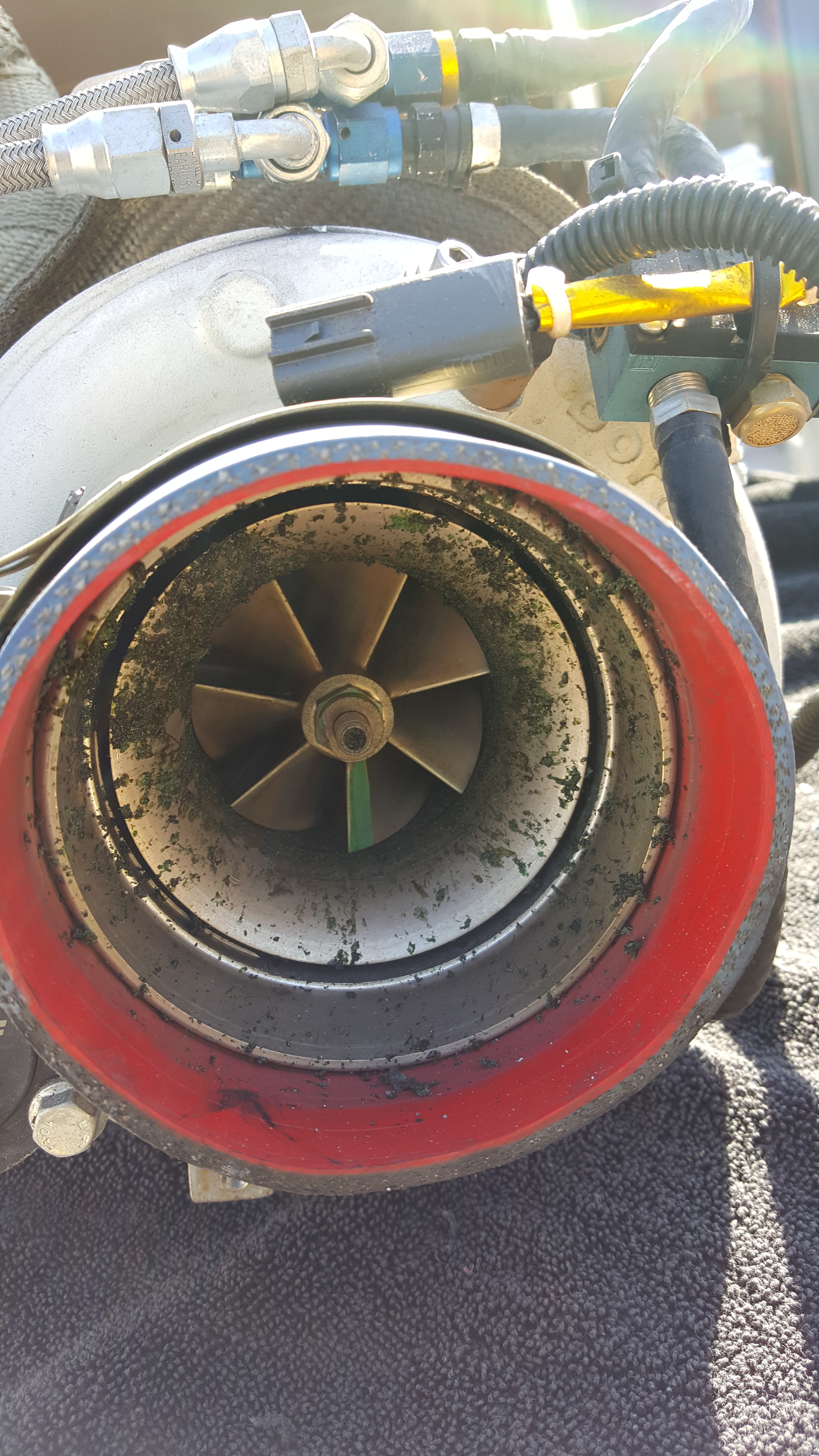 Name:  20161018_140517_zpsf4r3cbyn.jpg
Views: 344
Size:  3.38 MB