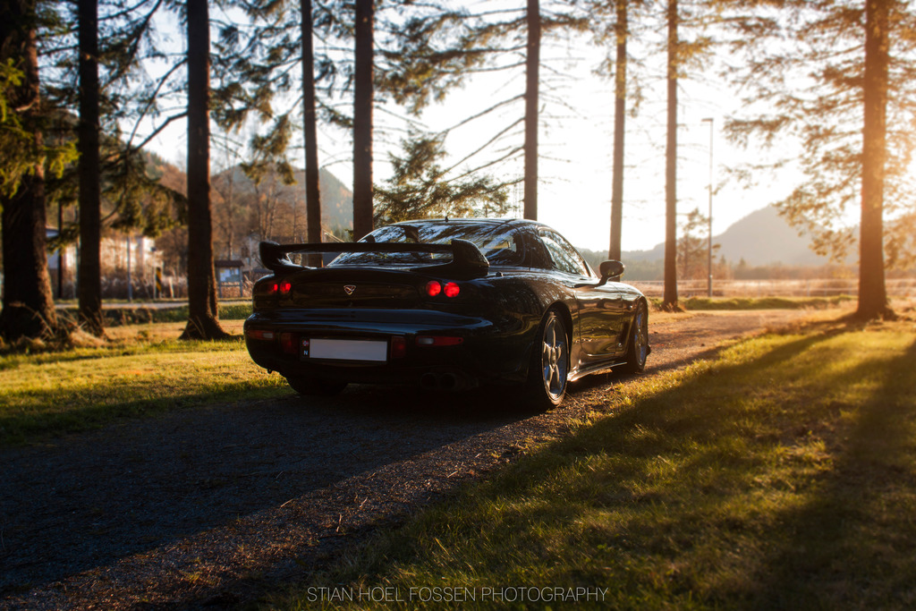 Name:  skog.jpg
Views: 2983
Size:  300.8 KB