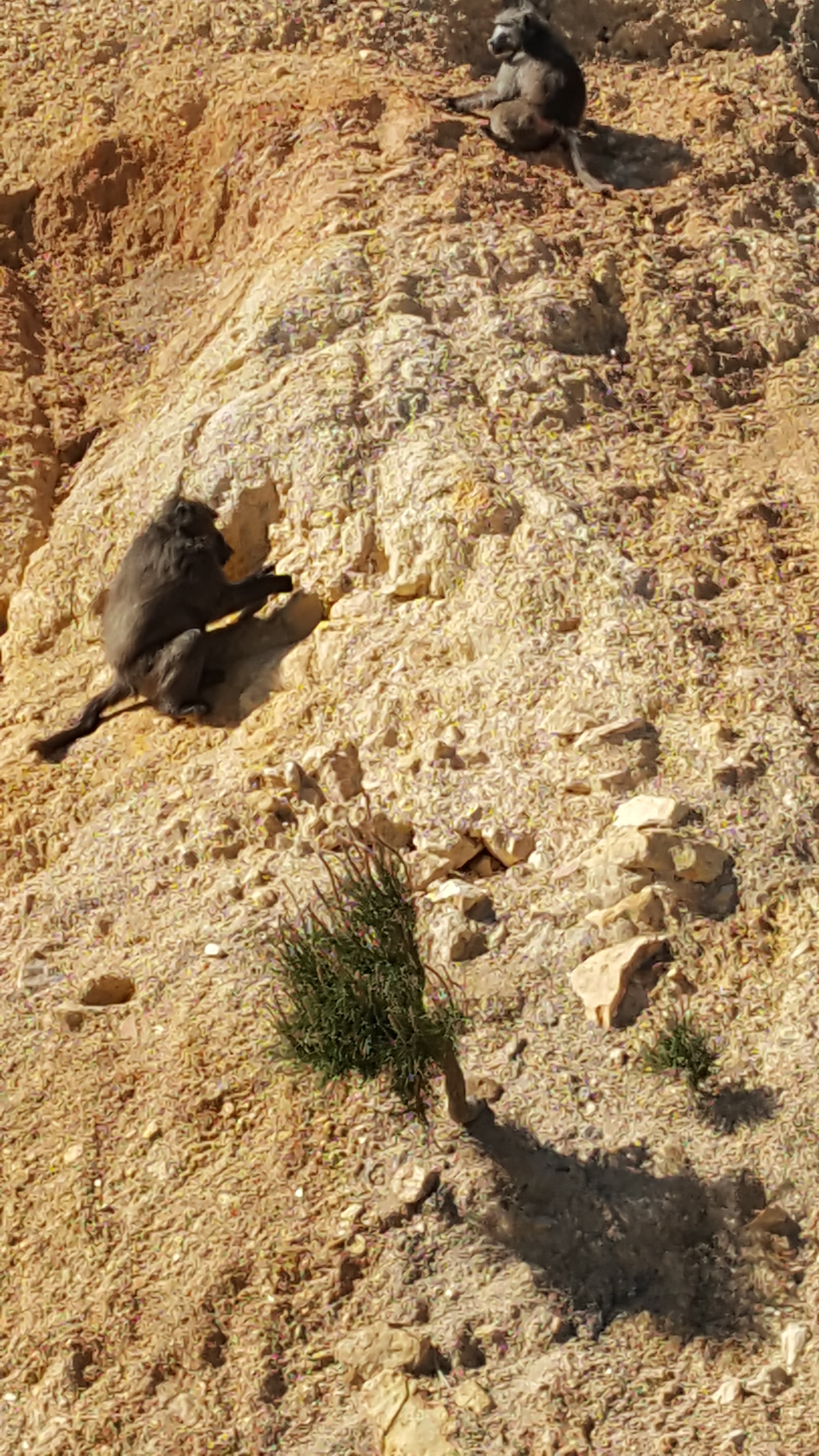 Name:  20160920_143430_zpskkatvobe.jpg
Views: 232
Size:  3.01 MB