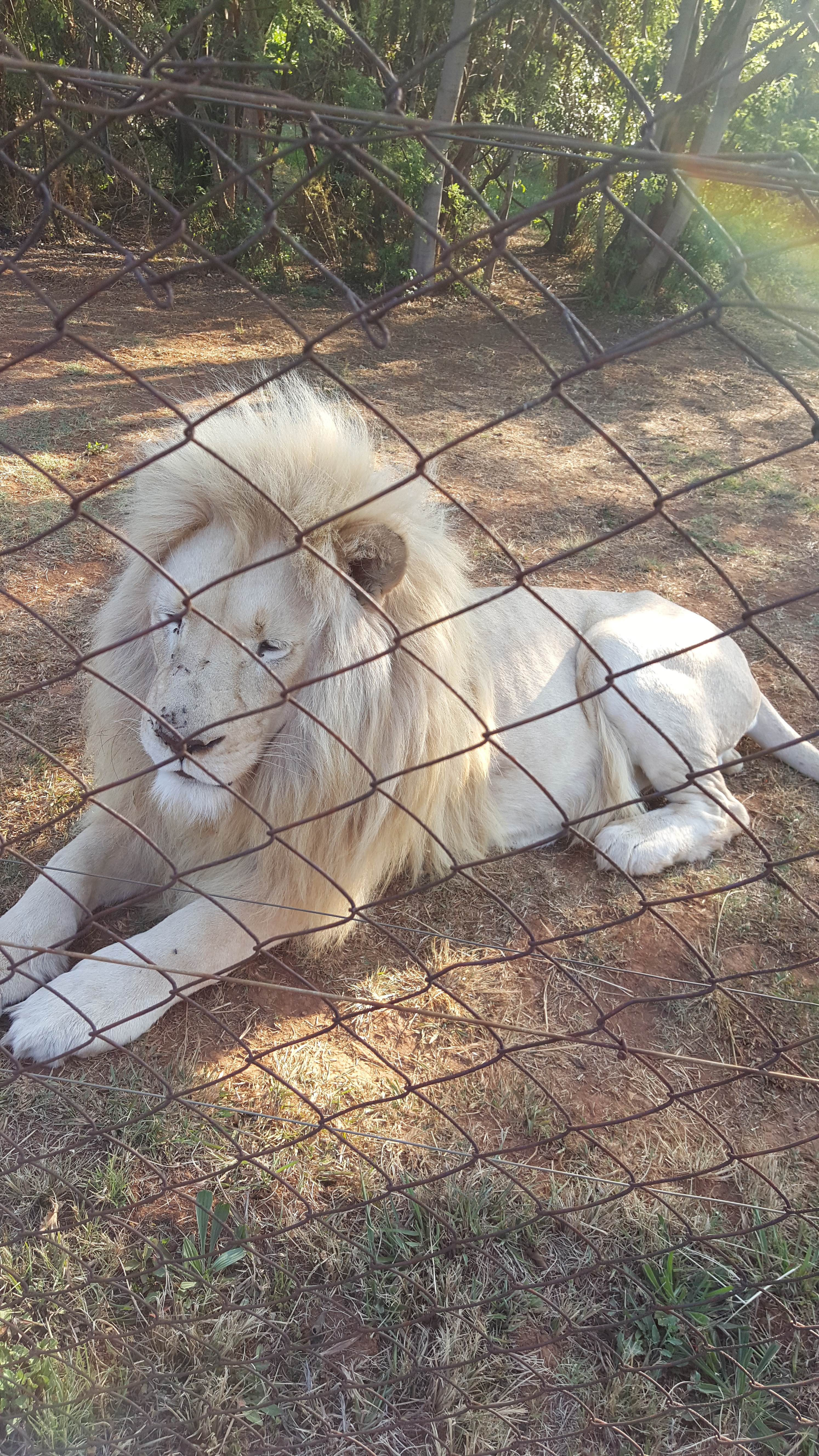 Name:  20160921_163323_zpshl5zesuc.jpg
Views: 248
Size:  5.57 MB