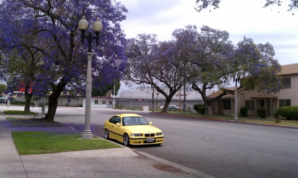 Name:  IMAG0080.jpg
Views: 905
Size:  145.6 KB