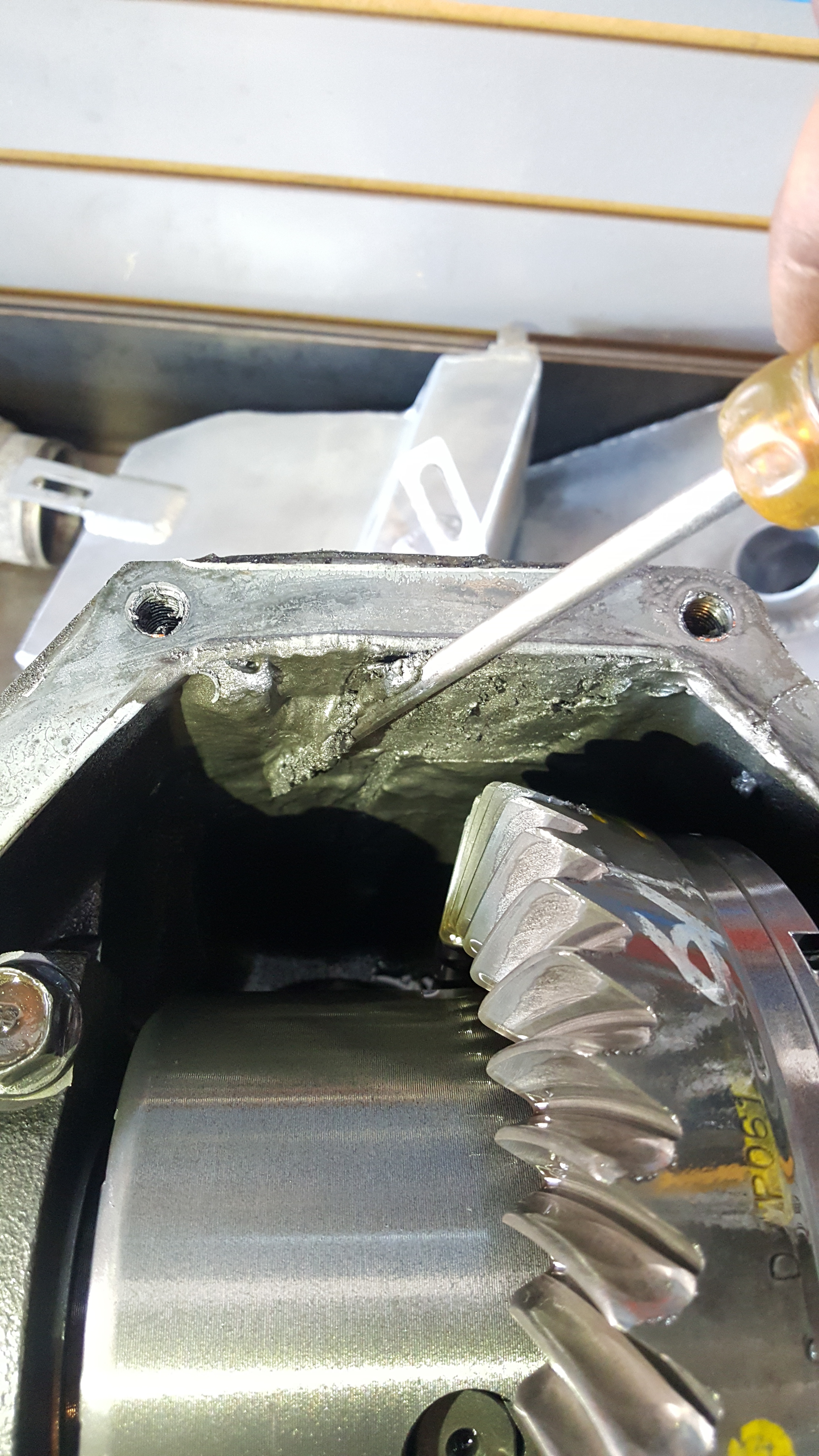 Name:  20160824_170237_zps9dq4zdw3.jpg
Views: 215
Size:  3.49 MB