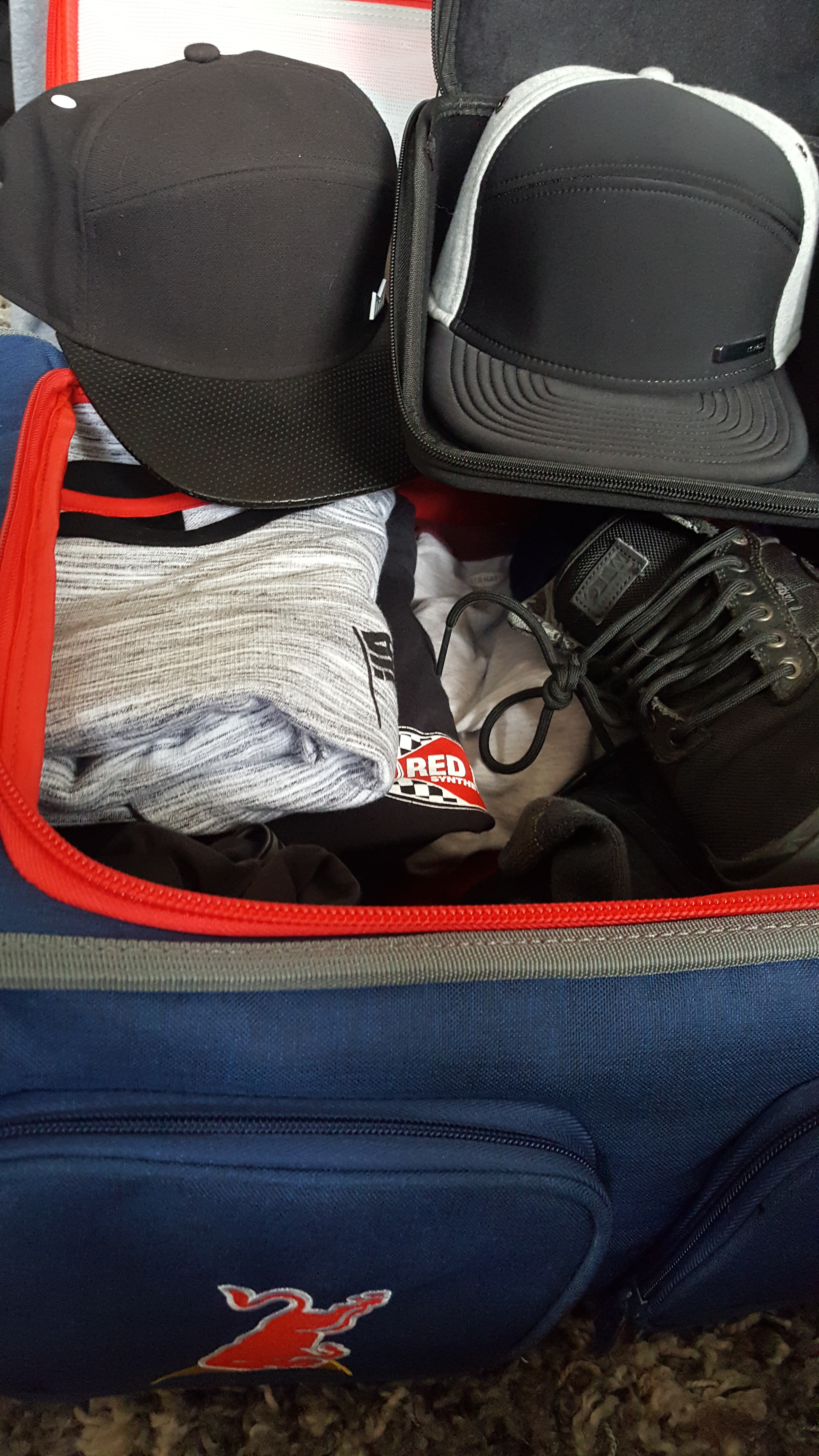 Name:  20160624_084406_zpsshwzwt4w.jpg
Views: 308
Size:  4.00 MB