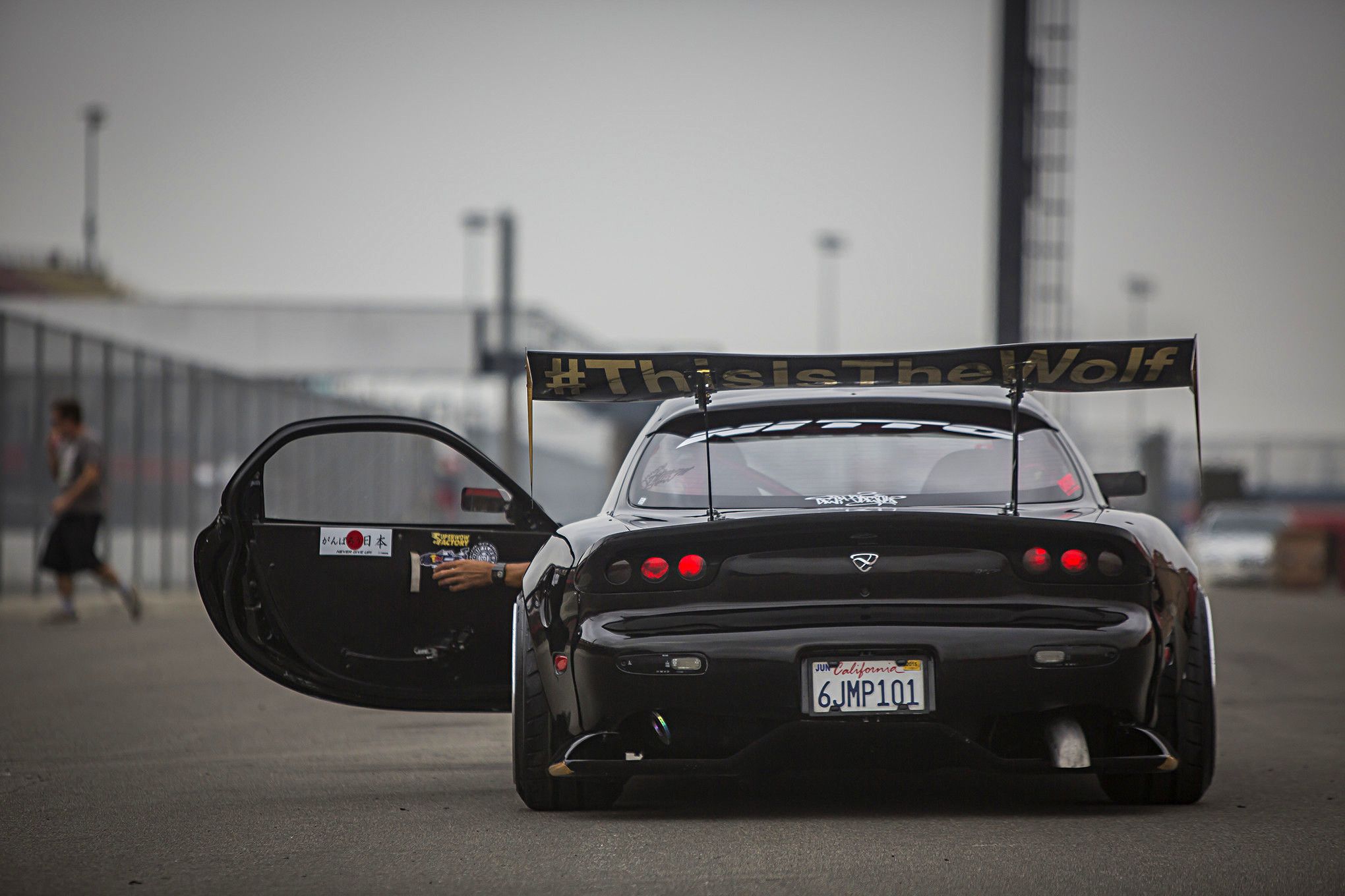 Name:  Sweet%20Ass%20Wolf_zpskpyery7b.jpg
Views: 444
Size:  234.2 KB