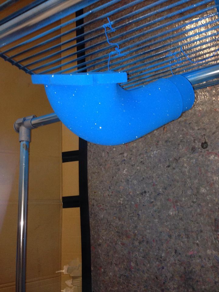 Name: Pre-baked%20blue_zpskpnfbsw8.jpg
Views: 5541
Size: 108.8 KB