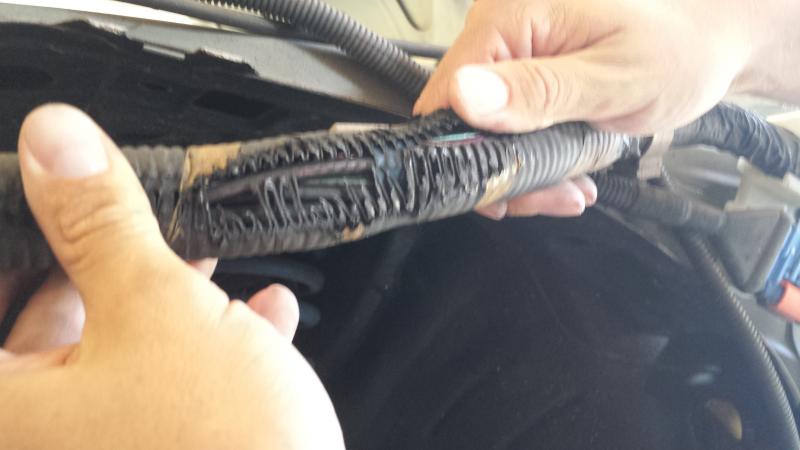 Name:  20140817_134021.jpg
Views: 220
Size:  34.6 KB