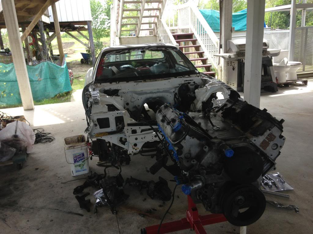 Name: IMG_2799_zps895aef76.jpg
Views: 245
Size: 109.2 KB