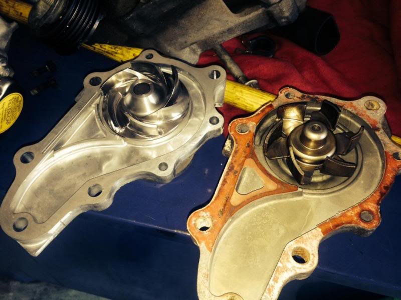 Name:  IMG951324.jpg
Views: 239
Size:  63.8 KB