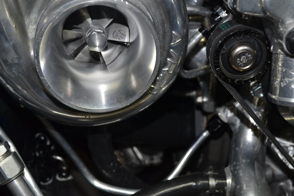 Name: DSC_0012_zpsd8d5d76f.jpg
Views: 146
Size: 71.1 KB