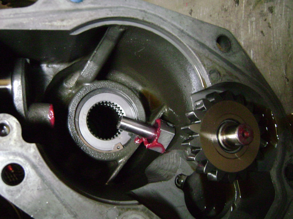 Name:  DSC03625.jpg
Views: 1022
Size:  253.4 KB