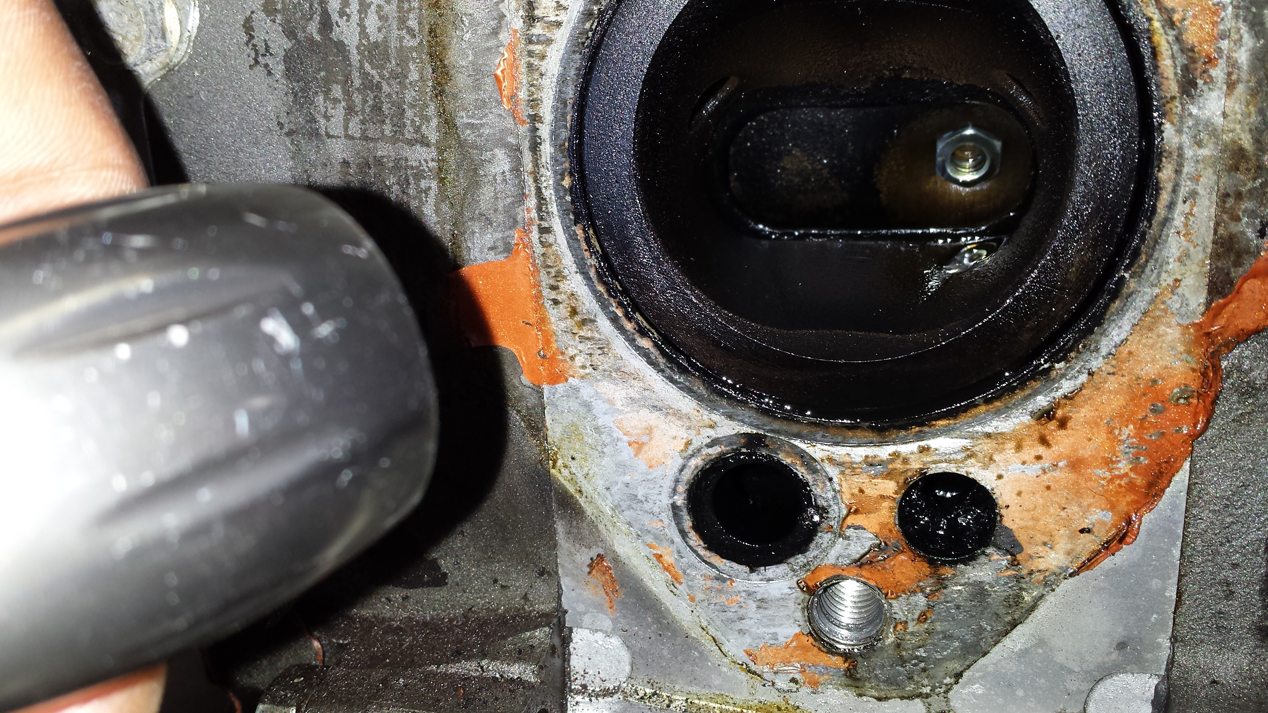 Name:  20130519_131700_zps7e2c5bae.jpg
Views: 209
Size:  2.80 MB